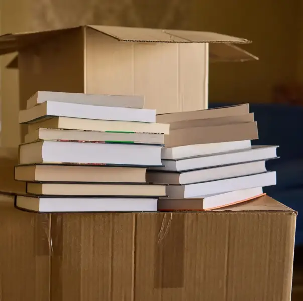 Arrivages réguliers de livres nouveautés littéraires